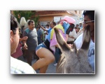Haga click para version grande