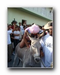 Haga click para version grande